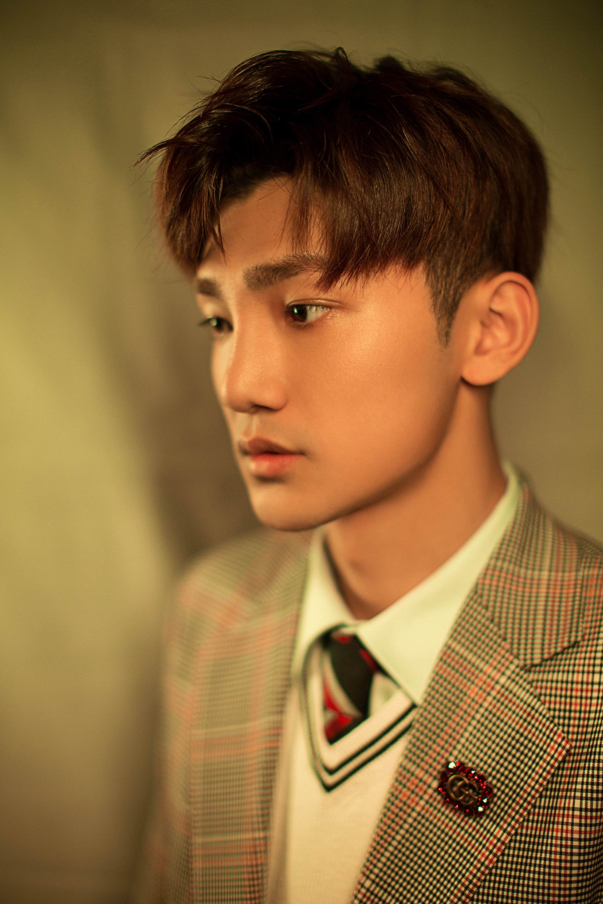 蒋龙出席搜狗in盛典时尚格子西装演绎冬日学院风