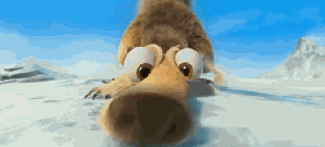 冰河世纪里的那只小松鼠坚持不懈却又萌点不断真的很耀眼