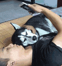 一家人就应该整整齐齐的 - 360娱乐,你开心就好