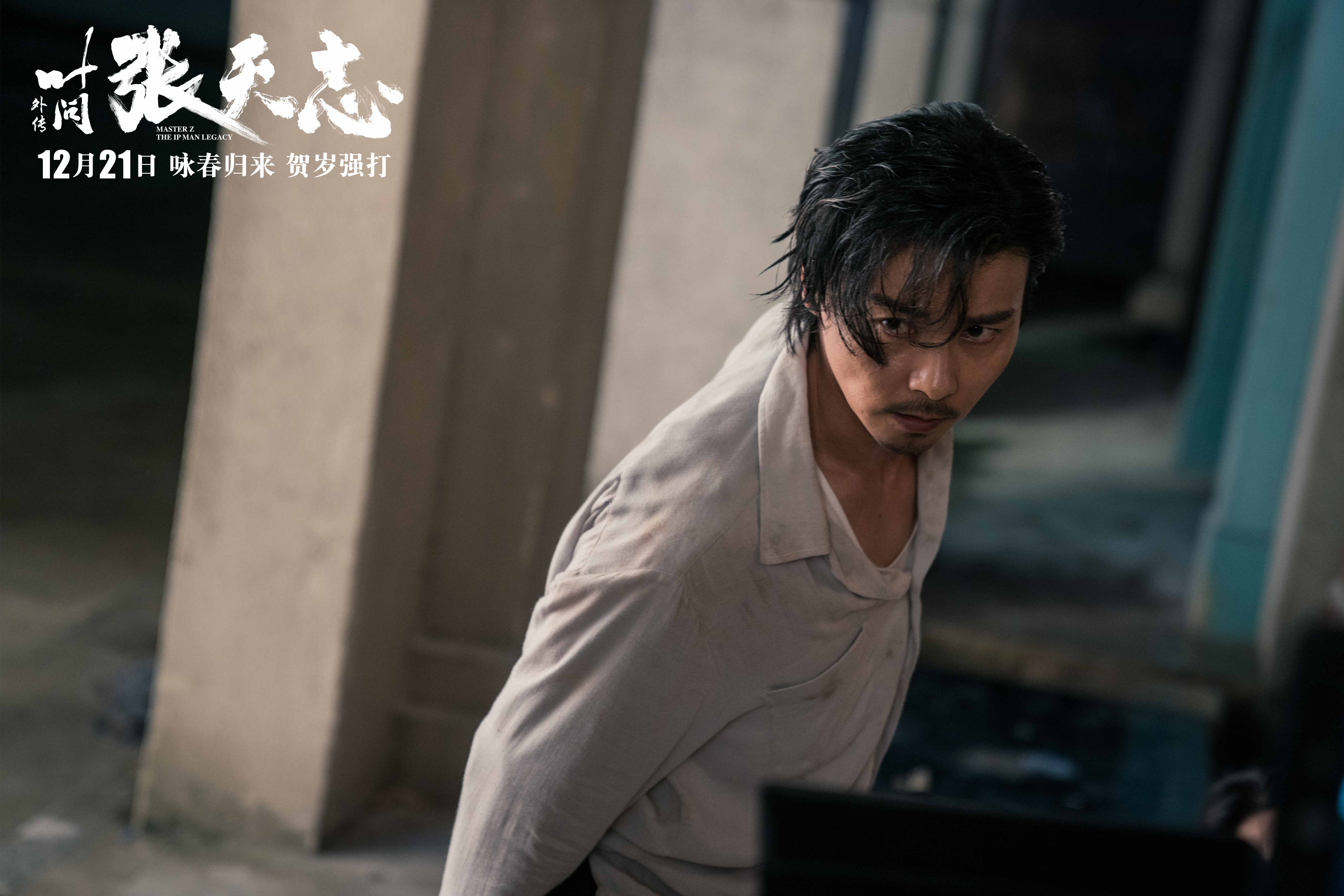 贺岁档唯一功夫武打片叶问外传张天志张晋杨紫琼托尼贾高手过招硬碰硬