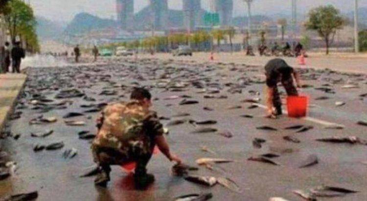 这里每年都会来几场特别的雨,天空落下大量的“活鱼” 捡不完 - 360娱乐,你开心就好
