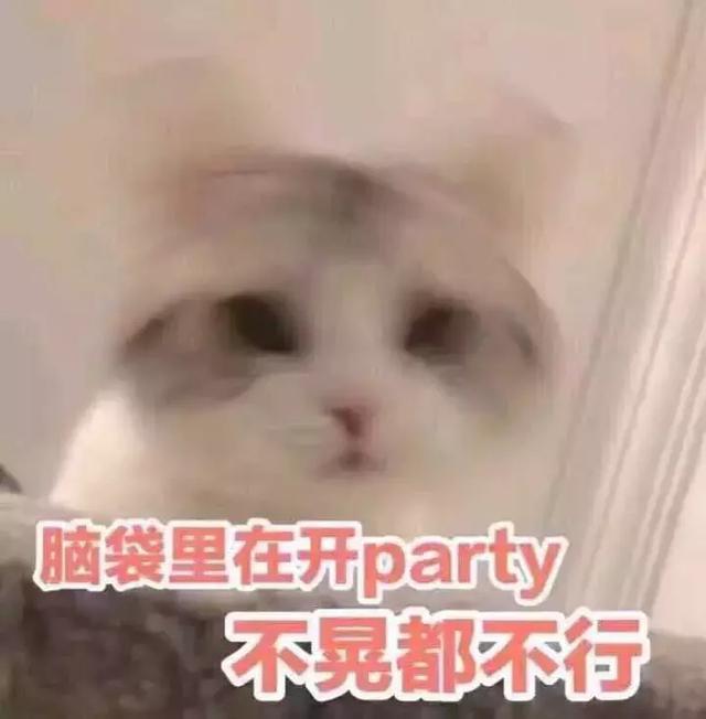 说出来你可能不信……我居然迷上了一位胖大叔？