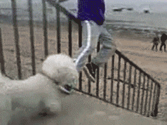 这游戏看着好刺激,我也想玩这是停的什么车,看见我都害怕了电梯吃人后