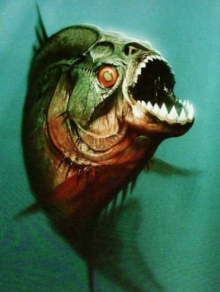 十大恐怖鱼 远古图片