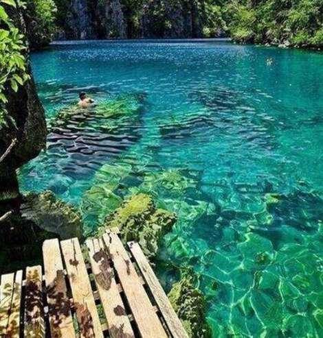 世界上最干净的湖泊之一——弗拉特黑德湖