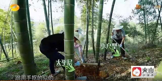 同样懒精上身群众却只喷张杰不喷他，这是双标吗？