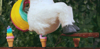 传说中的小蛮腰,身材简直不要太完美了! - 360娱乐,你开心就好