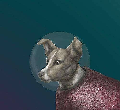 当年那只上了太空的苏联狗后来到底怎么样了