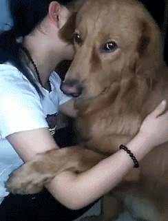 经典搞笑gif动态图片另类动图20180115期持续更新