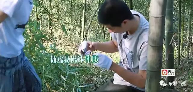 同样懒精上身群众却只喷张杰不喷他，这是双标吗？