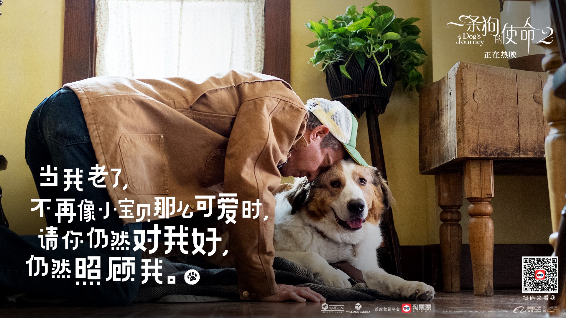 《一条狗的使命2》曝终极预告 小狗贝利跨越生死守护主人_电影