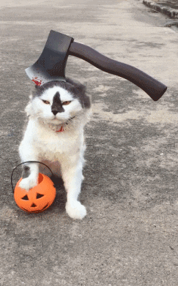 爆笑gif: 都喝成这样了,你还不忘在路上整两口