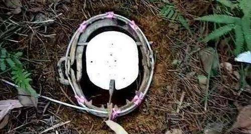 男子山上设置捕猎夹子看到这幕吓得从此洗手不干