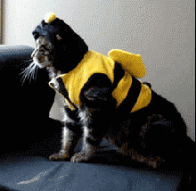 搞笑gif兄弟你经历过绝望吗