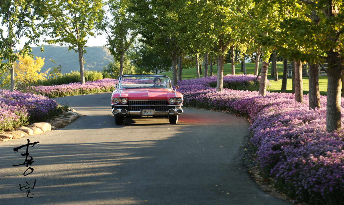 电影喜宝海外杀青古董车无人机齐出动