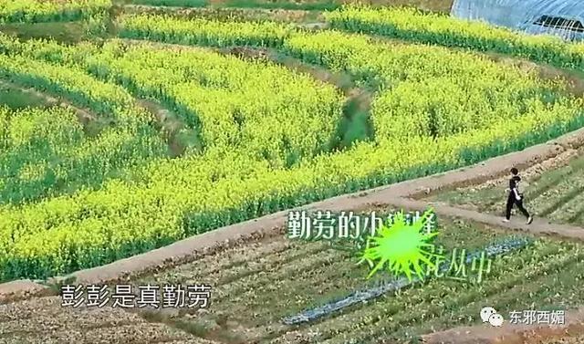 同样懒精上身群众却只喷张杰不喷他，这是双标吗？