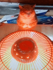 搞笑gif图: 这一跳,跳出了喵界的耻辱! - 360娱乐,你开心就好