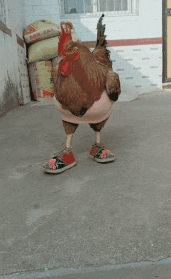 - 360娱乐,你开心就好