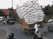 搞笑gif: 扔的还挺准的 - 360娱乐,你开心就好