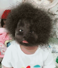 爆笑gif告诉叔叔你到底是经历了什么