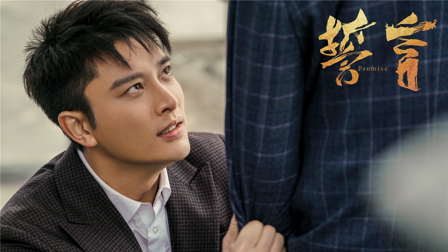 贾乃亮誓言今晚收官回归正剧展现多面演技