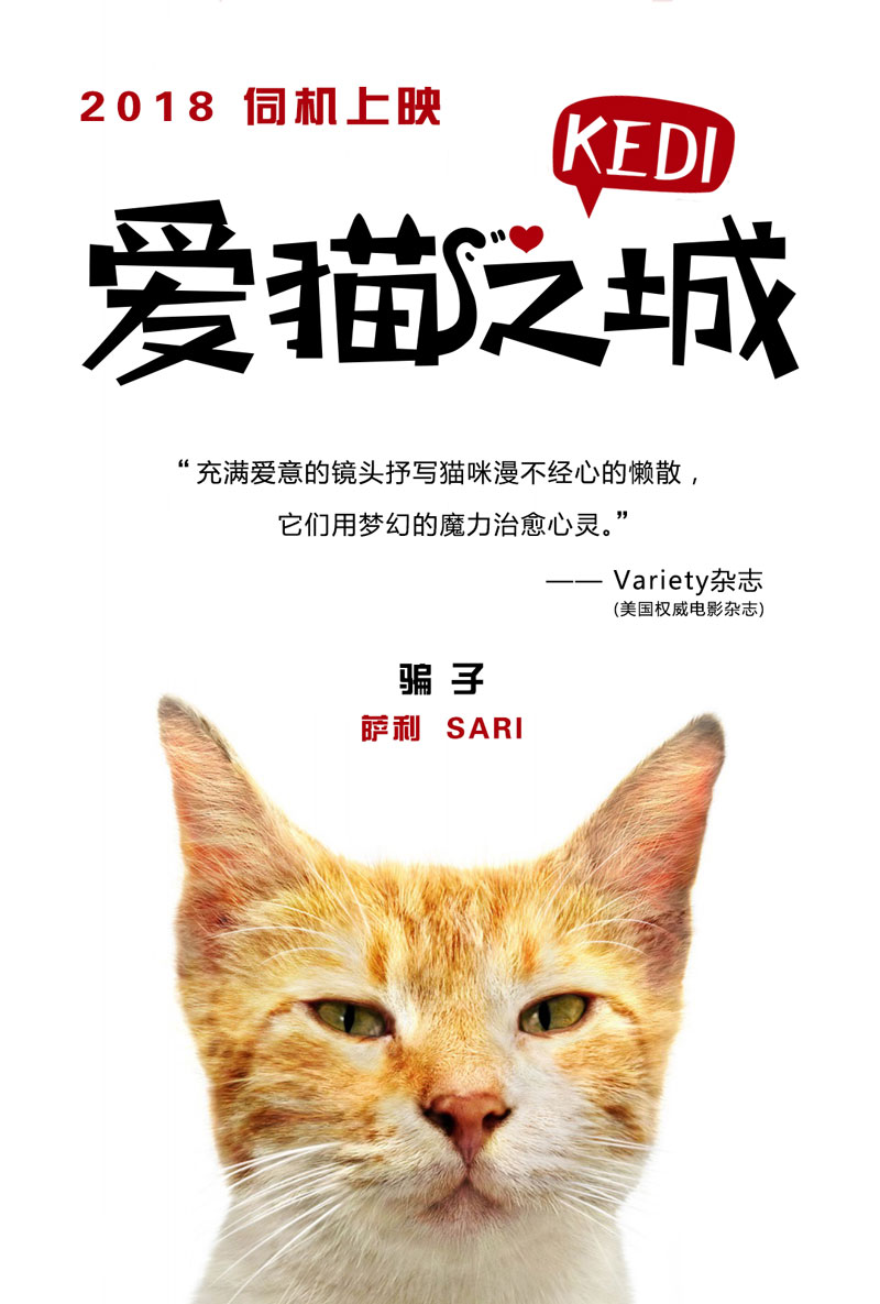 BETWAY平台下载入口