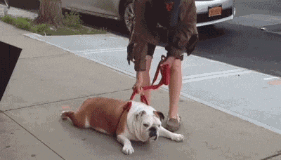 搞笑gif不给买零食的时候心情不好了