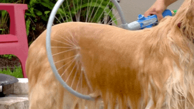 搞笑动态图gif: 大叔你有考虑过小马的感受吗? - 360娱乐,你开心就好