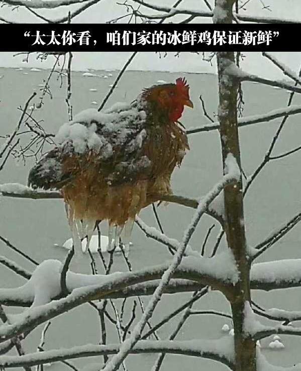 搞笑囧图刚才还一起玩的伙伴突然阴阳相隔