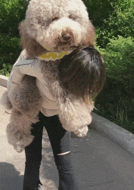 爆笑gif: 第一天上班,还没有一点工作经验 - 360娱乐,你开心就好