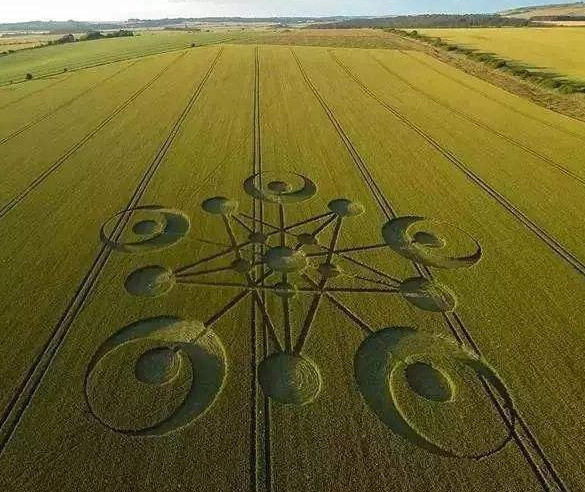 麦田怪圈在向人类传达什么语言专家破译后结果又惊又喜