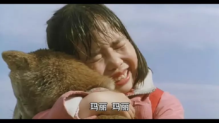 暖心电影爱犬的奇迹营救汪星人不同的剧情不同的感动