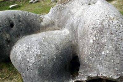 全世界最怪的石头遇水会长大还能走路移动