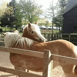 搞笑动态图gif: 你们这表情好难看. - 360娱乐,你开心就好