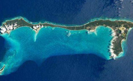 这座岛上的猫随处可见为了生存不得不下海抓鱼吃