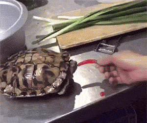 搞笑动态图gif看人家一个劲的直往后退