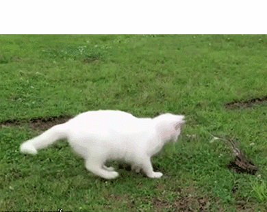 搞笑段子:男人掏钱的动作最帅了