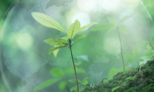 中老年女演员无好戏可拍？就算陈数有《和平饭店》，不也得配戏！