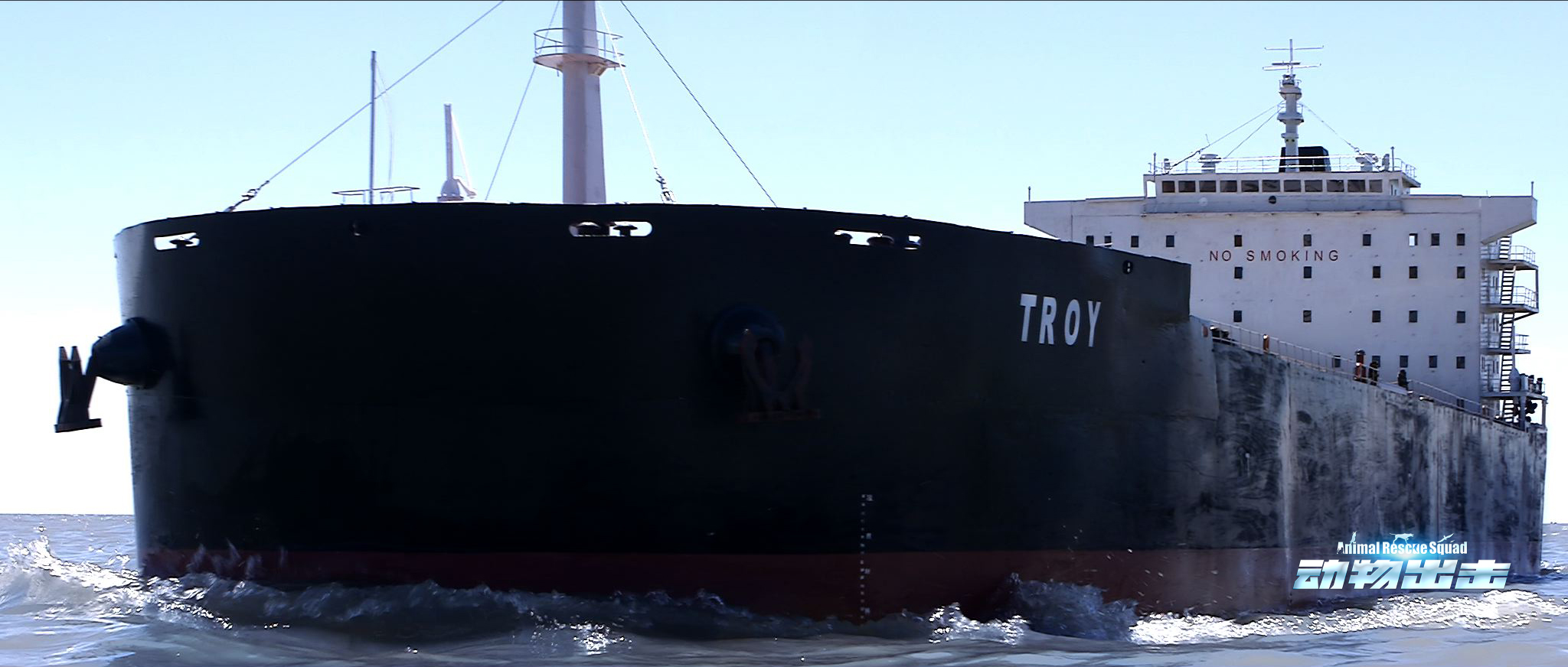 动物出击首曝定档海报大年初一献上阖家欢乐大戏