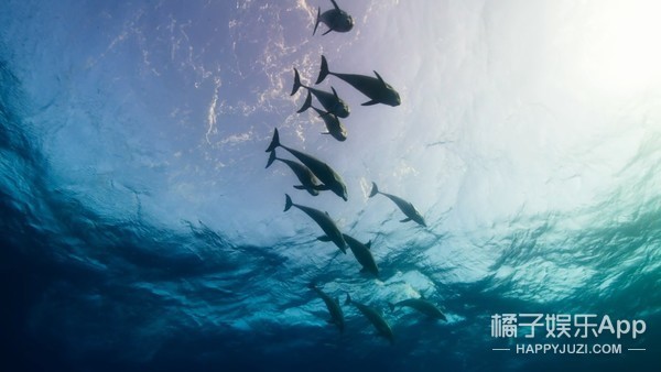 感受一下2017年的《蓝色星球2》▼感受一下2006年的《地球脉动》▼