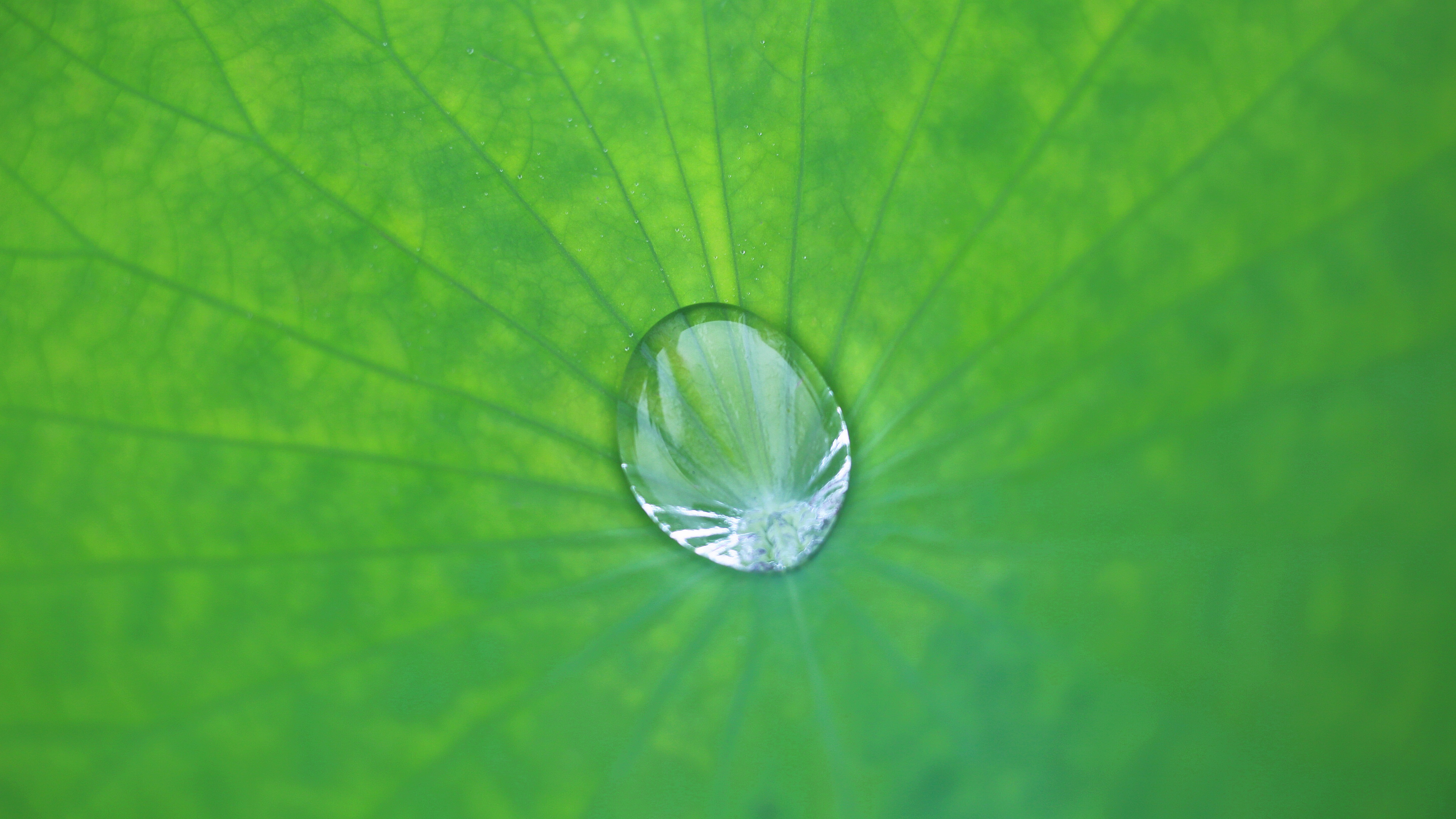 三星雨滴动态壁纸高清 - 优美图库