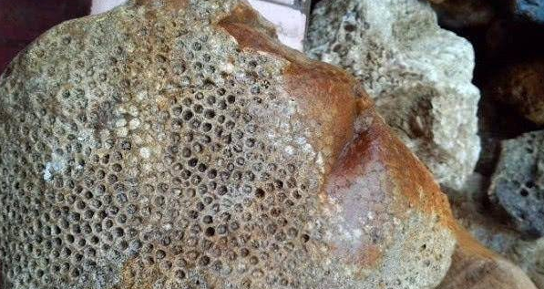 男子捡到一块长满麻子的石头把它切开之后很惊喜