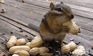 https://hao5.qhimg.com/t01df4838a031a4bce0.gif