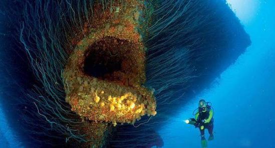 海底多年,她的身上长满了许多海洋植物,看起来就像一只巨大的"怪物"