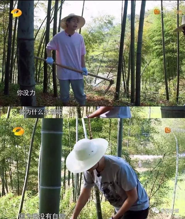 同样懒精上身群众却只喷张杰不喷他，这是双标吗？