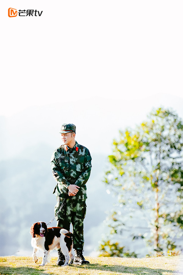 芒果tv奇兵神犬大結局上篇展開荒島求生楊爍沙溢逗樂上線張馨予高空被