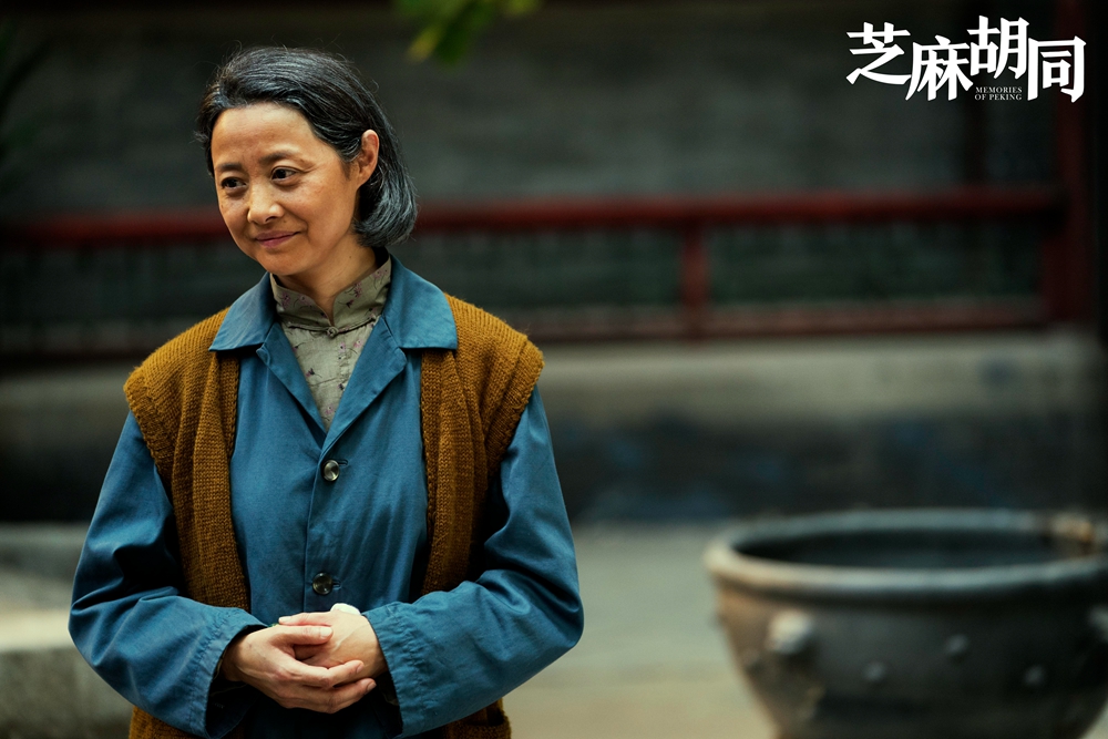 电视剧芝麻胡同催泪收官浮世万象回归家之本源