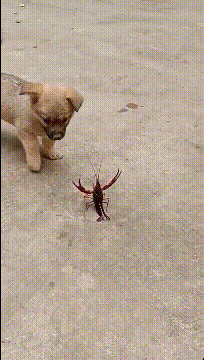 - 360娱乐,你开心就好